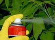 Questionnaire: Are You Safe Around Pesticides?