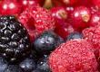 Common Soft Fruit Pests