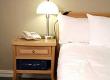 Bed Bugs and How to Deal With Them