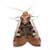 Effective Pest Control For Moths and Gnats