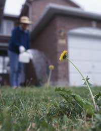 Herbicides Weed Killers Safety Gels